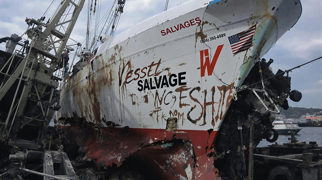 Salvage Image